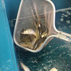 Walts Bait And Tackle