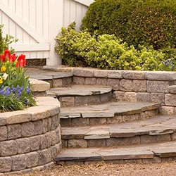 Advanced Don Davies