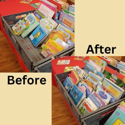 A Novel Idea Book Parlor - Board Book New Arrivals