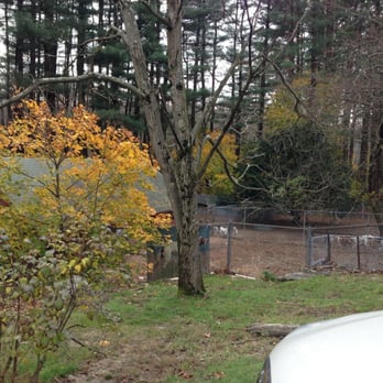 Dogma - Pet Sitting Near Me - Millbury, Massachusetts Dogma - Pet Sitting Near Me - Millbury, Massachusetts