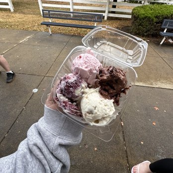 Handel's Ice Cream-Columbus - 4 Scoop Sampler - Frosted Animal Cookie, Confetti Brownie Batter, Blueberry Cobbler, Knot Your Average Dough - Ice Cream & Frozen Yogurt Near Me - Columbus, Ohio