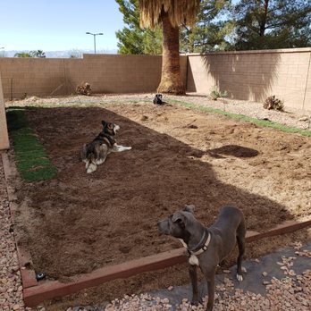 StarCarpetLV - Landscaping Near Me StarCarpetLV - Landscaping Near Me