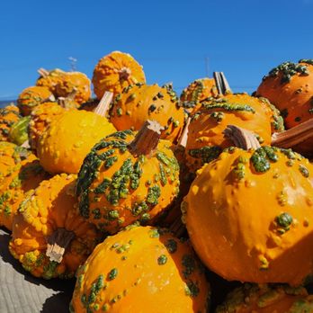 Farmer John's Pumpkin Farm - Pumpkin Patches Near Me - Half Moon Bay, California Farmer John's Pumpkin Farm - Pumpkin Patches Near Me - Half Moon Bay, California