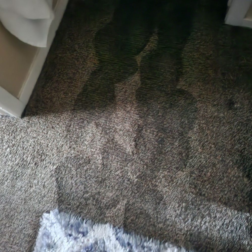 Invitation Homes - Rotten carpets since 7/8/2024 - Property Management Near Me - Addison, Texas Invitation Homes - Rotten carpets since 7/8/2024 - Property Management Near Me - Addison, Texas