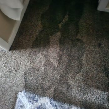 Invitation Homes - Rotten carpets since 7/8/2024 - Property Management Near Me - Addison, Texas