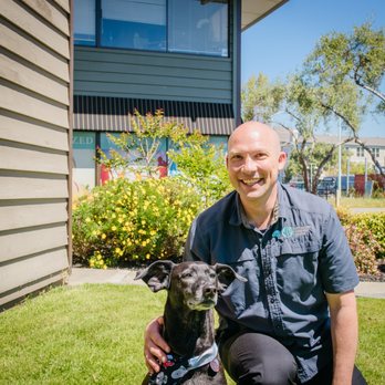 Optimized Wellness Center - Dr. Tim caring for pet dog - Chiropractors Near Me - Oakland, California