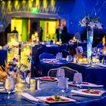 Sky Events Management - Acorda Aquarium - Party & Event Planning Near Me - New York, New York Sky Events Management - Acorda Aquarium - Party & Event Planning Near Me - New York, New York