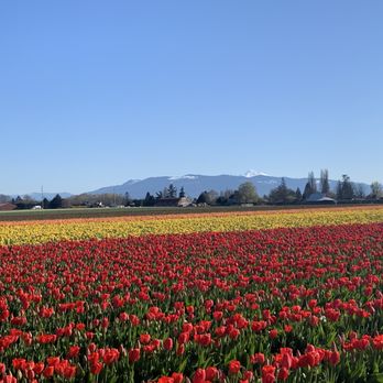 Shutter Tours - Tours Near Me - Seattle, Washington