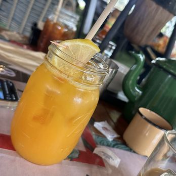 Bulegreen Cafe Yard - Freshly squeezed Orange Juice - Cafes Near Me - Oakland Park, Florida Bulegreen Cafe Yard - Freshly squeezed Orange Juice - Cafes Near Me - Oakland Park, Florida