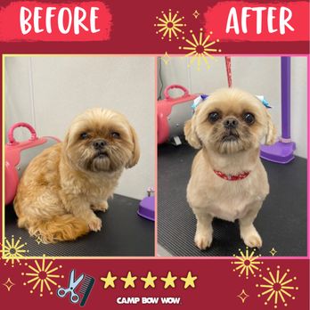 Camp Bow Wow - Pet Boarding Near Me - Cypress, Texas