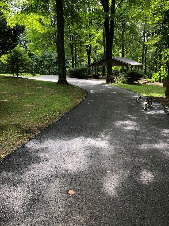 MOREHOUSE LOGGING Updated June 2024 10 Photos 13494 Sand Hollow Rd, Thornville, Ohio