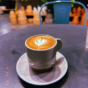 The Concrete Jungle - Cortado - Coffee & Tea Near Me - Brooklyn, New York The Concrete Jungle - Cortado - Coffee & Tea Near Me - Brooklyn, New York