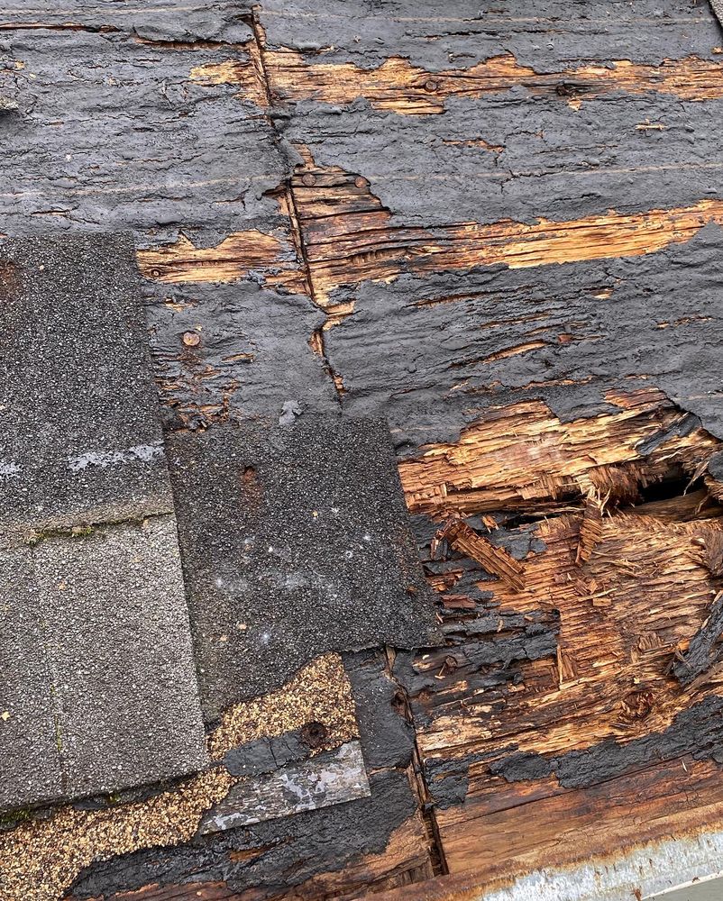 Slide of Pio’s Roofing