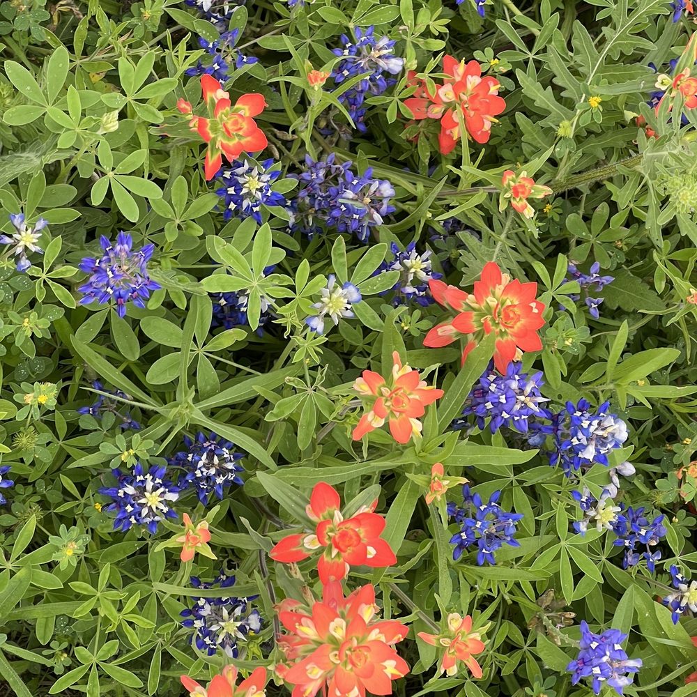 Old Baylor Park - Parks Near Me - Brenham, Texas Old Baylor Park - Parks Near Me - Brenham, Texas