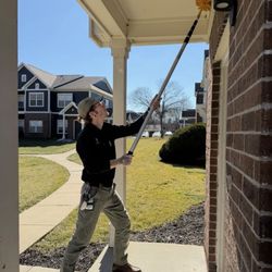 Real Pest Solutions