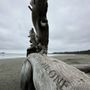 Photo of Chesterman Beach