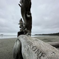 Chesterman Beach