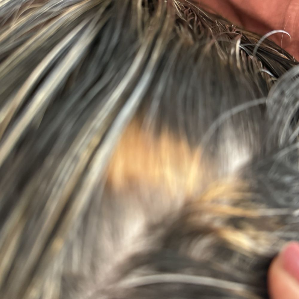 Varuna Aveda Salon Spa - Bleach spot - Hair Salons Near Me - Annapolis, Maryland Varuna Aveda Salon Spa - Bleach spot - Hair Salons Near Me - Annapolis, Maryland