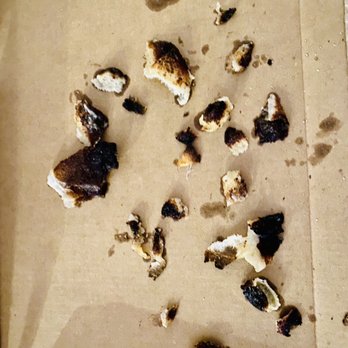 &pizza - Burnt pieces picked off the white pizza - Pizza Near Me - Washington, DC, District of Columbia &pizza - Burnt pieces picked off the white pizza - Pizza Near Me - Washington, DC, District of Columbia