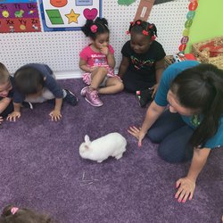 Once Upon A Time Daycare & Preschool - Bunny time