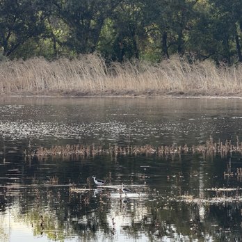 Cosumnes River Preserve - Parks Near Me - Galt, California