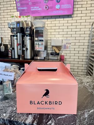 Blackbird Doughnuts Fenway by null