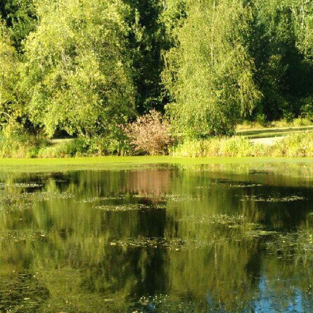 very peaceful, family friendly place to be. Very clean area, clean and fully stocked restroom