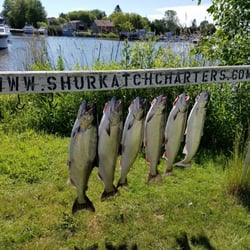 Shur-Katch Charters
