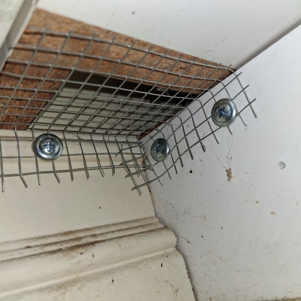Rodent Professor - Pest Control Near Me Rodent Professor - Pest Control Near Me