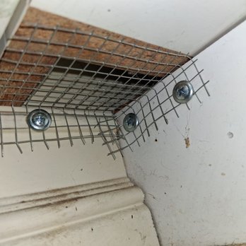 Rodent Professor - Pest Control Near Me Rodent Professor - Pest Control Near Me