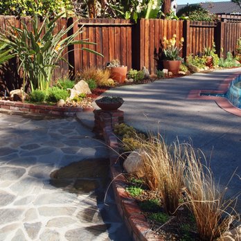 Sculptured Gardens Alive - Northridge sun-drenched, poolside landscape with drought-tolerant plantings. - Landscaping Near Me Sculptured Gardens Alive - Northridge sun-drenched, poolside landscape with drought-tolerant plantings. - Landscaping Near Me