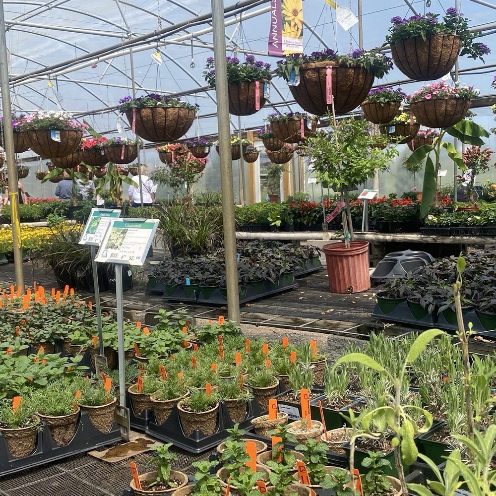 Riverbend Nurseries Garden Center - Nurseries & Gardening Near Me - Franklin, Tennessee Riverbend Nurseries Garden Center - Nurseries & Gardening Near Me - Franklin, Tennessee