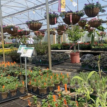 Riverbend Nurseries Garden Center - Nurseries & Gardening Near Me - Franklin, Tennessee Riverbend Nurseries Garden Center - Nurseries & Gardening Near Me - Franklin, Tennessee
