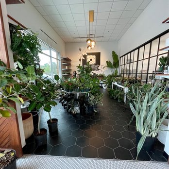 Bked Shop - Plant bbyz ready to go höm - Donuts Near Me - Summerville, South Carolina