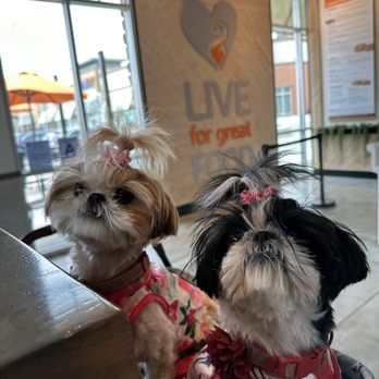 Urbane Cafe - Chloe and Zoe live for great food from Urbane Cafe! - Salad Near Me - Menifee, California Urbane Cafe - Chloe and Zoe live for great food from Urbane Cafe! - Salad Near Me - Menifee, California