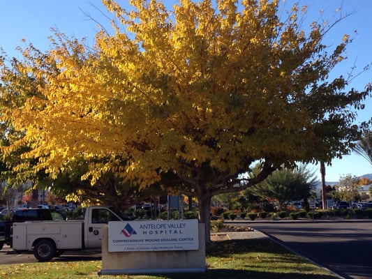 ANTELOPE VALLEY MEDICAL CENTER - Updated July 2024 - 45 Photos & 329
