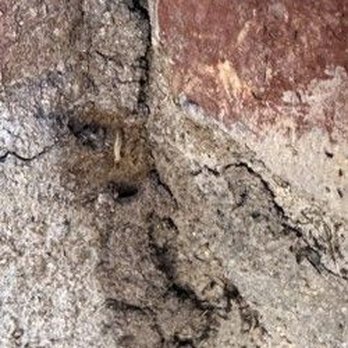 Adams Termite & Pest Control - Pest Control Near Me Adams Termite & Pest Control - Pest Control Near Me