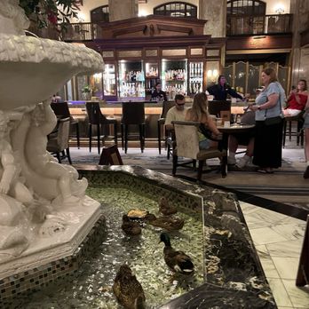 The Peabody Memphis - The world famous ducks.   Just chilling. - Hotels Near Me - Memphis, Tennessee