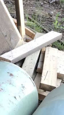 Little Arrow Outdoor Resort by null