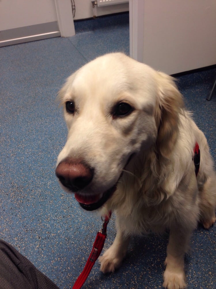 PETS’N’VETSEAST KILBRIDE Updated April 2024 St James Retail Park