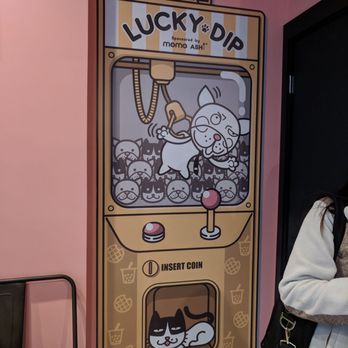 Momo Ashi - Cute decor - Bubble Tea Near Me - Bayside, New York