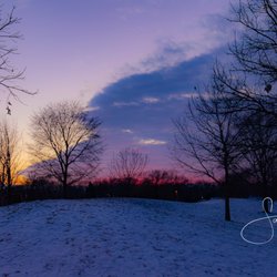 Lovelace Park