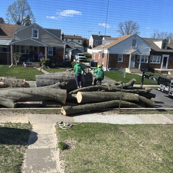 Jake's Tree Service - Tree removal - Tree Services Near Me - Glen Mills, Pennsylvania Jake's Tree Service - Tree removal - Tree Services Near Me - Glen Mills, Pennsylvania
