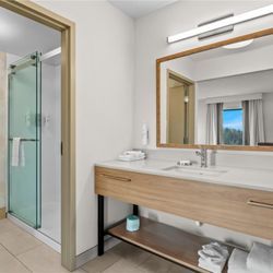 Hampton Inn & Suites Detroit-Canton - Guest room bath