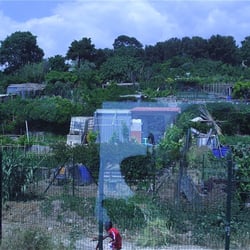 Les Jardins Ouvriers - Jardins ouvriers du 15ème