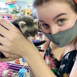 A baby ferret