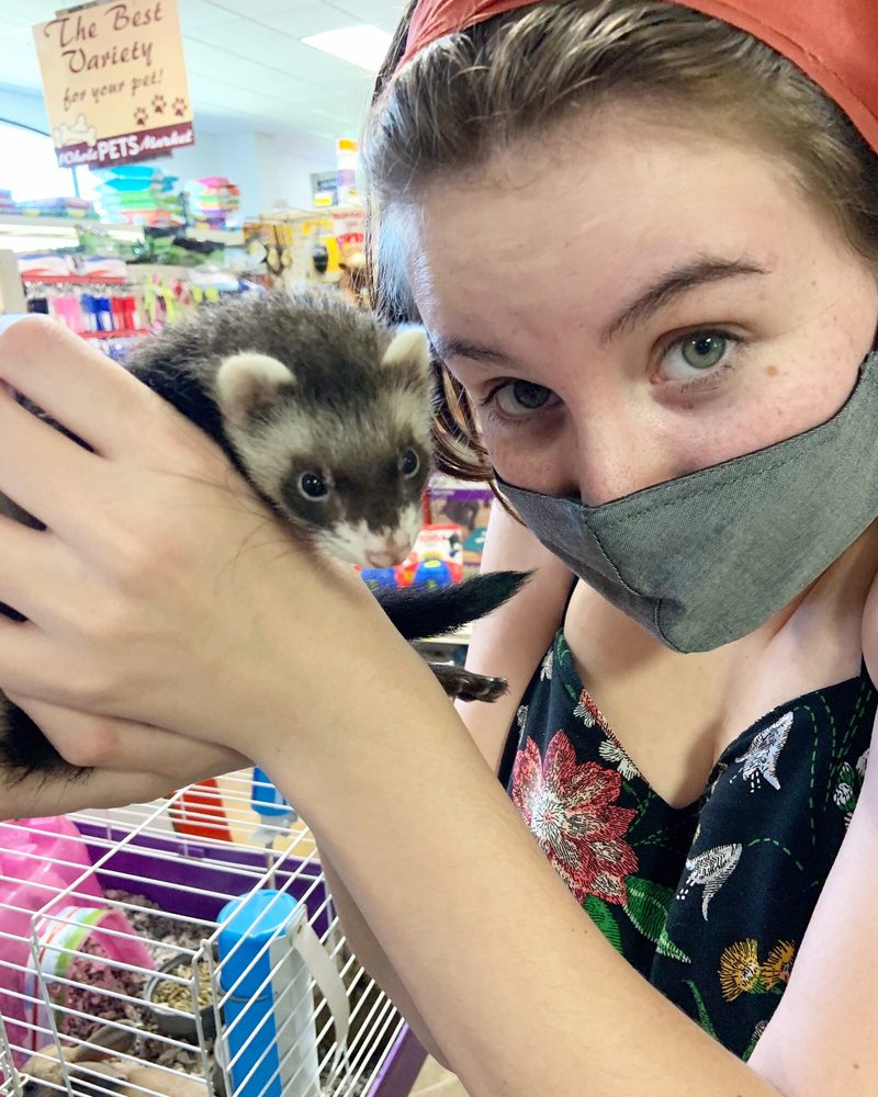 WHOLE PETS MARKET Updated October 2024 18 Reviews 911 W Hwy 290