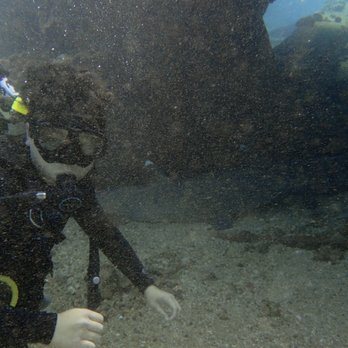 Banyan Tree Divers Maui - Two sharks behind me :D - Scuba Diving Near Me - Lahaina, Hawaii