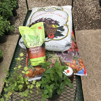Eastside Discount Nursery - The prices were lower or comparable to Home Depot however you are also supporting a local business. - Nurseries & Gardening Near Me - El Paso, Texas