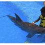 Photo of Dream Vacations with K N B